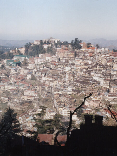 Shimla