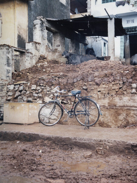 Jaipur street