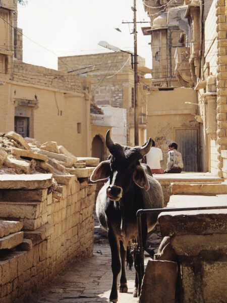 Streets of Jaisalmer