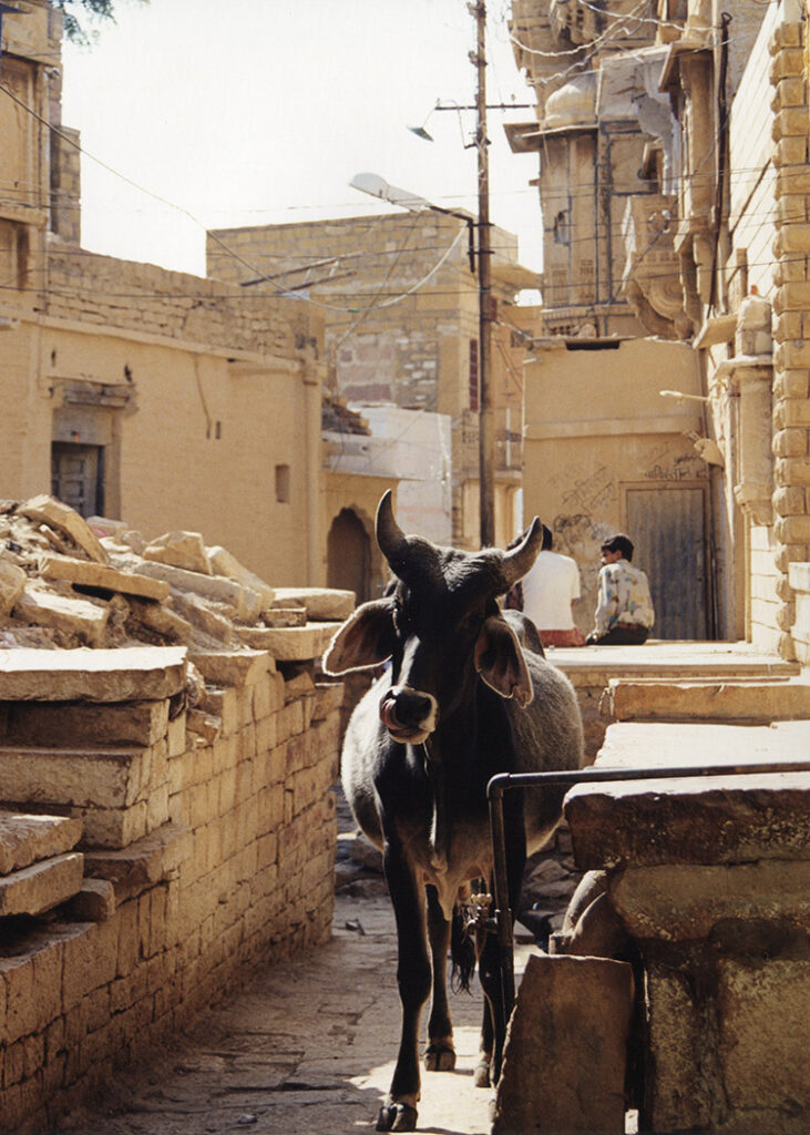 Streets of Jaisalmer