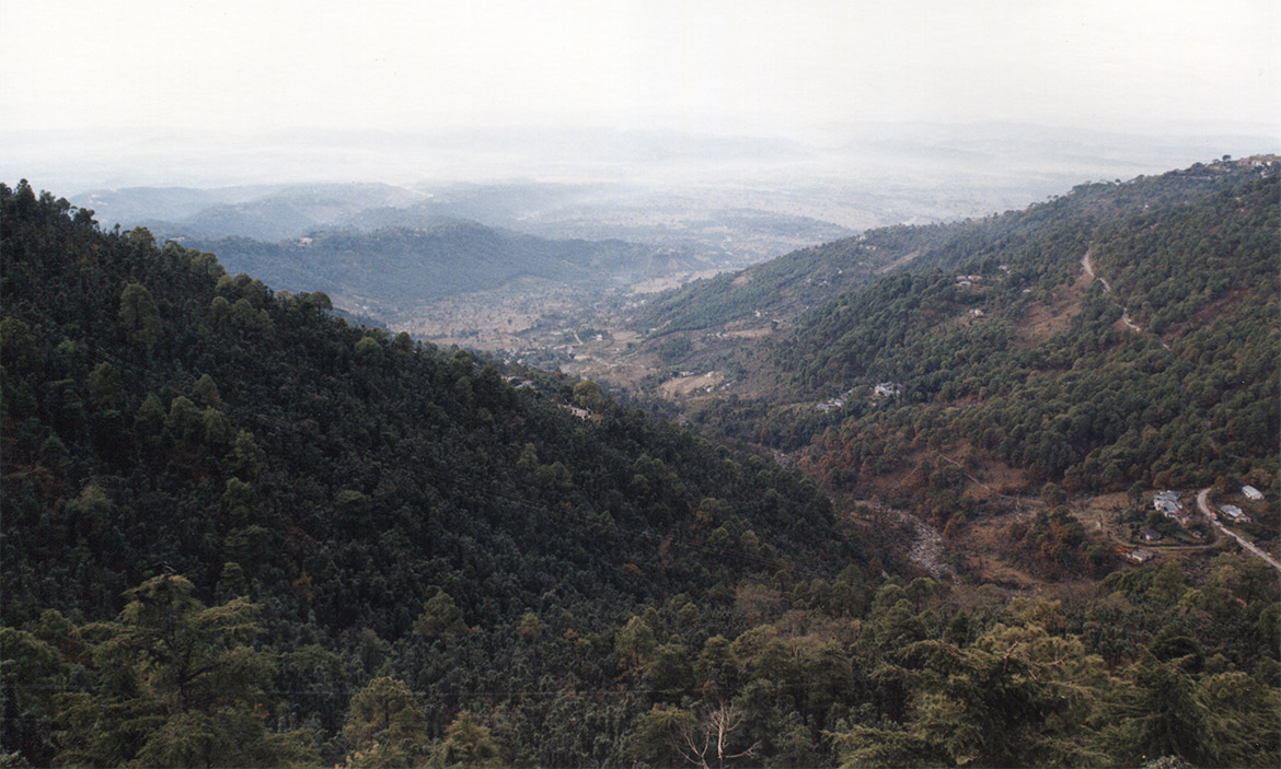 Mandi to Dharamshala (McLeod Ganj)