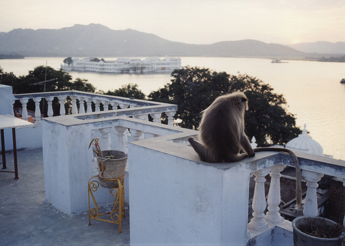 Udaipur