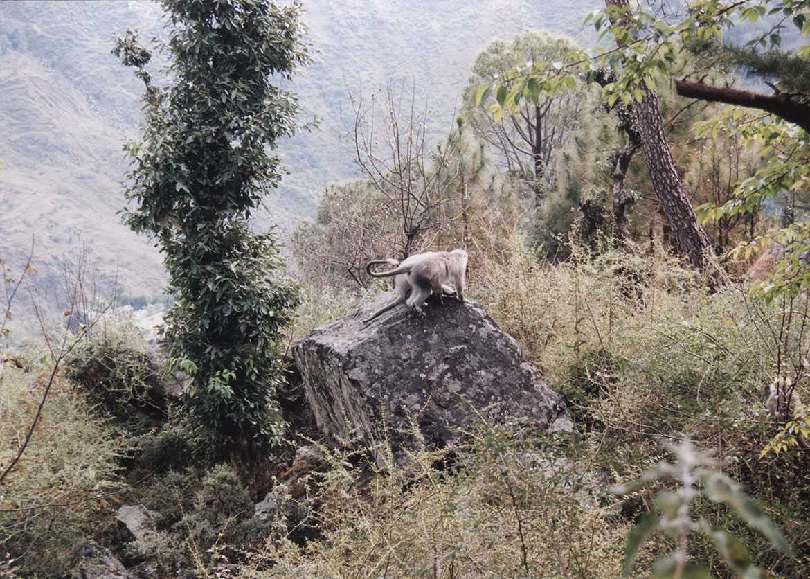 McLeod Ganj