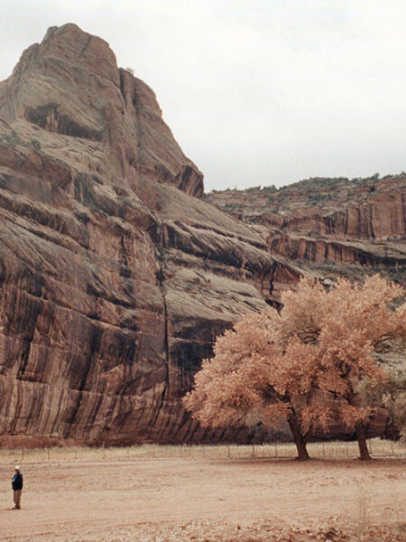 Canyon de Chelly