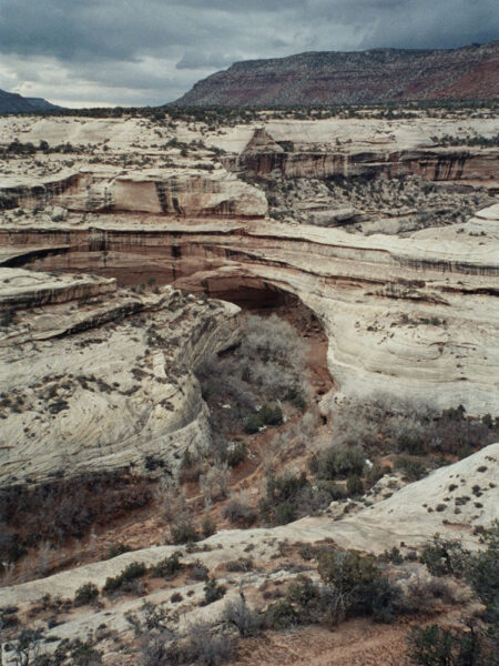 Natural Bridges National Monument