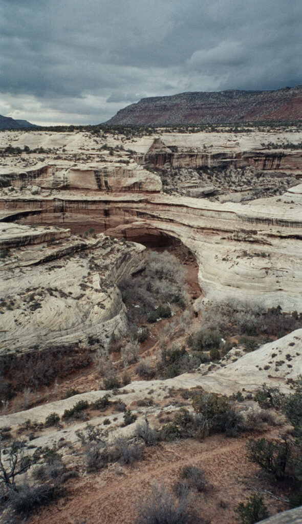 Natural Bridges National Monument