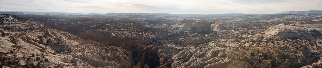Natural Bridges National Monument