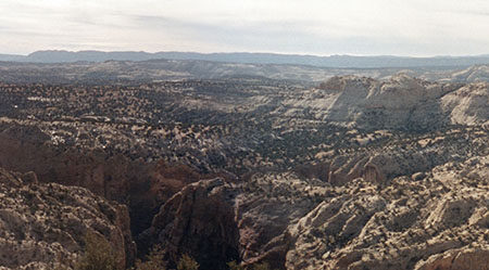 Natural Bridges National Monument