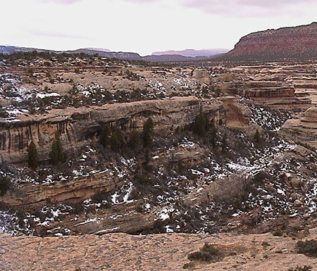 Natural Bridges National Monument