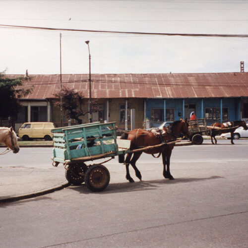 Local market