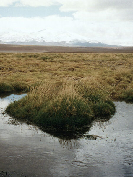 Drive from El Tatio geysers