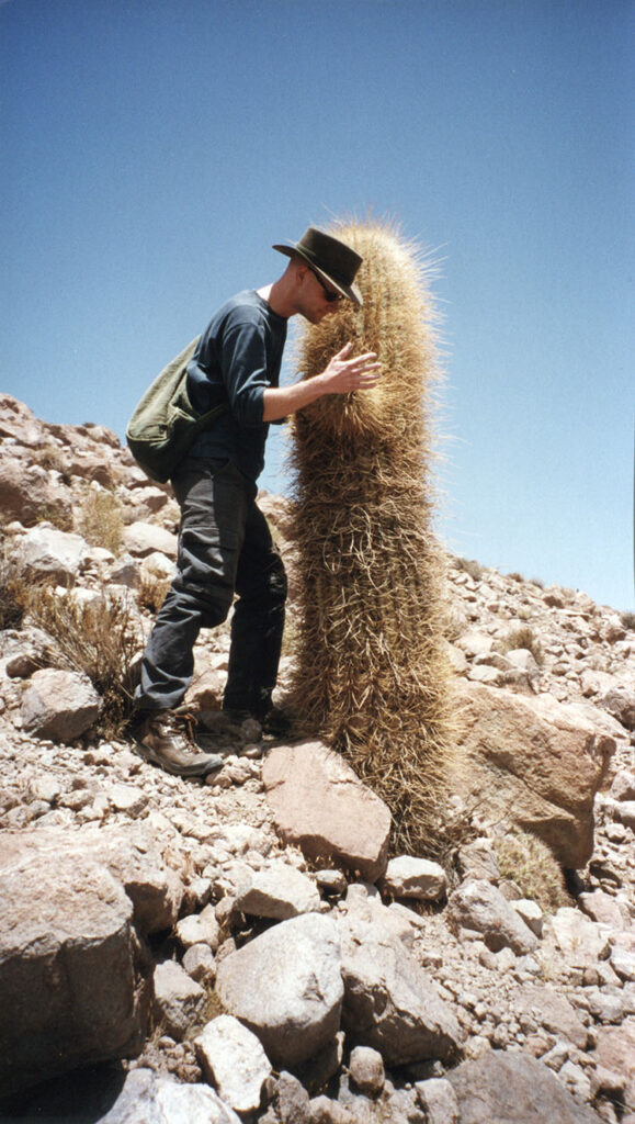 Hug a cactus!