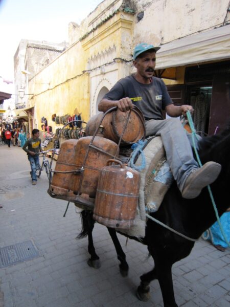 Fez streets