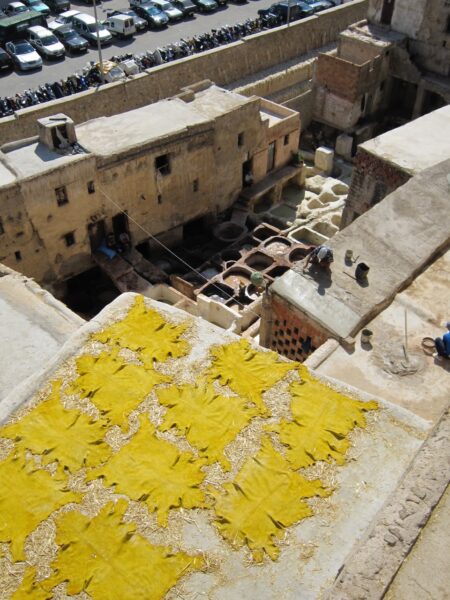 Fez tanneries