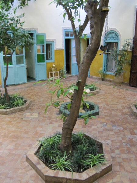 Riad Magi
