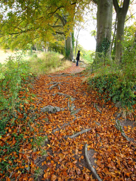 Old Sarum