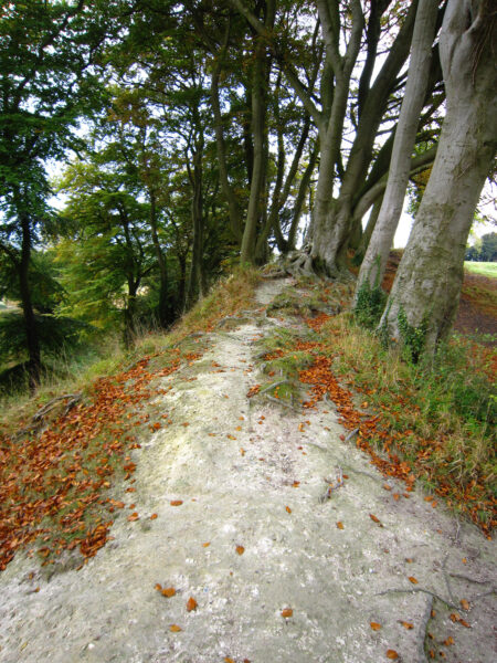 Old Sarum