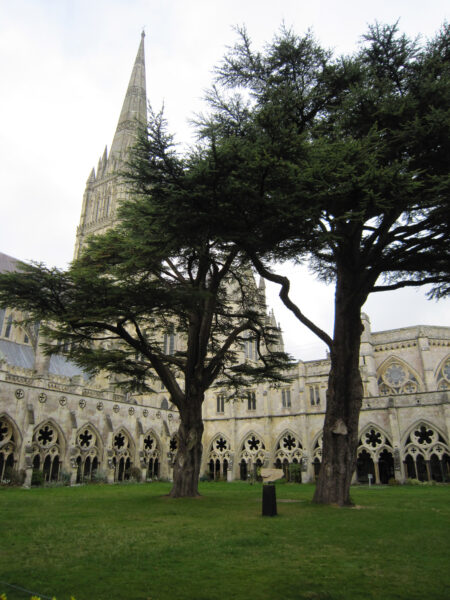 Salisbury Cathedral