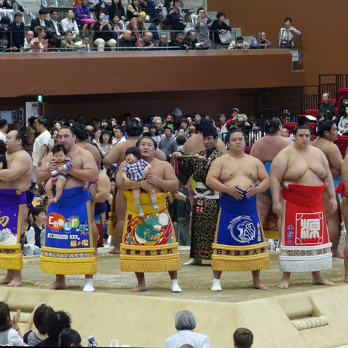 Sumo