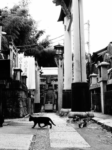 Fushimi Inari shrine