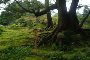 Kenrokuen Garden