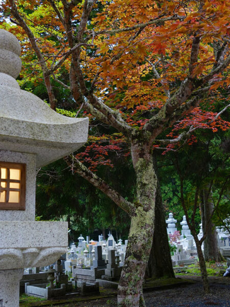 Okunoin cemetery