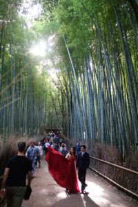 Arashiyama bamboo grove