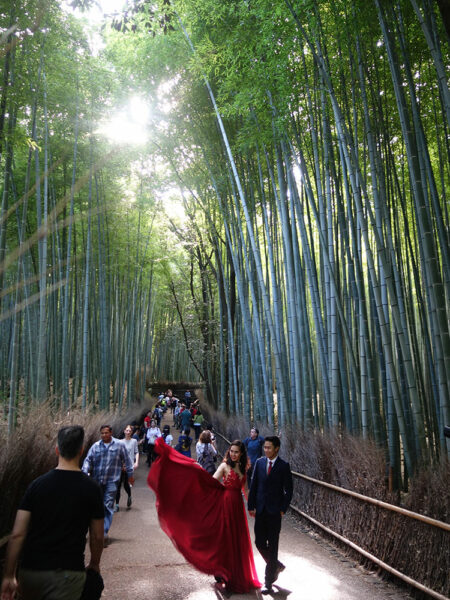 Arashiyama bamboo grove