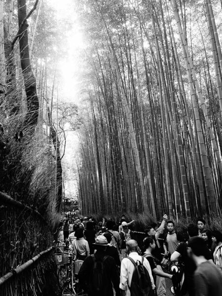 Arashiyama bamboo grove