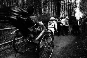 Arashiyama bamboo grove