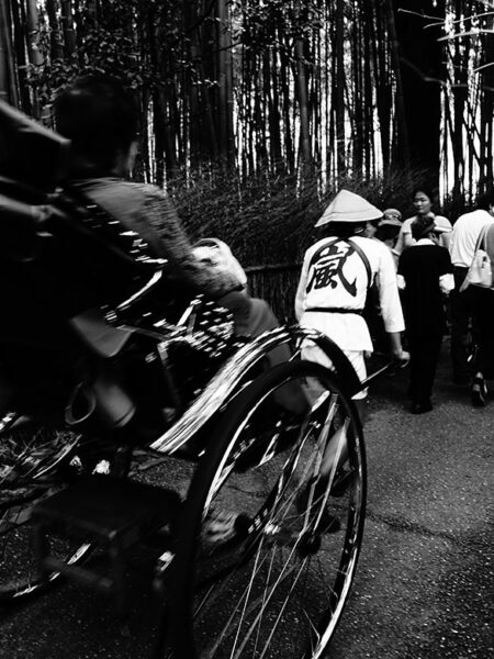 Arashiyama bamboo grove