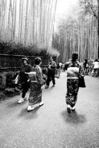 Arashiyama bamboo grove