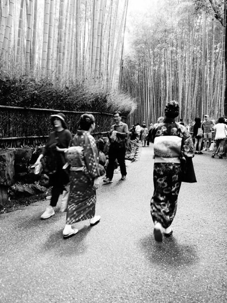 Arashiyama bamboo grove