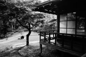 Nikko Tamozawa Imperial Villa