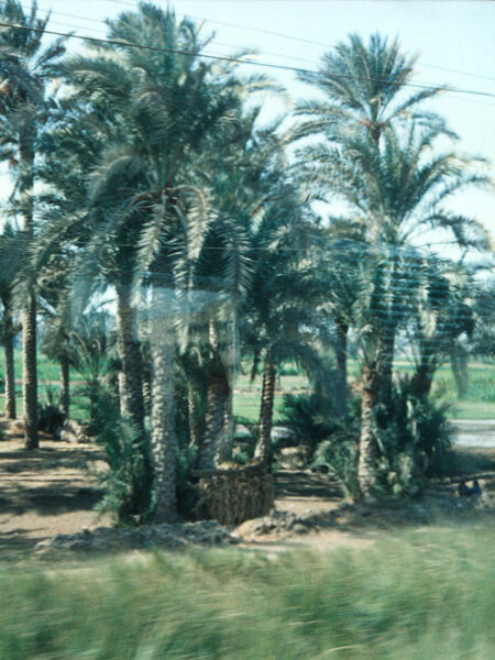 On the train to Luxor