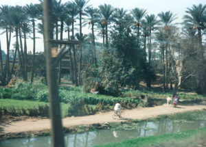 On the train to Luxor