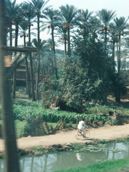 On the train to Luxor