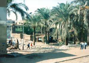 Nile village, from the train to Luxor