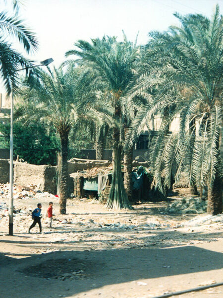 Nile village, from the train to Luxor