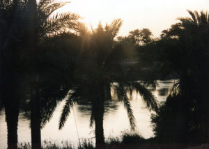 The Nile, from the train to Luxor