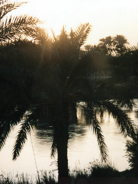 The Nile, from the train to Luxor