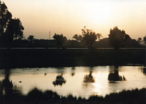 The Nile, from the train to Luxor