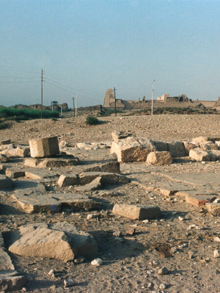 Heading to the Valley of the Kings by donkey