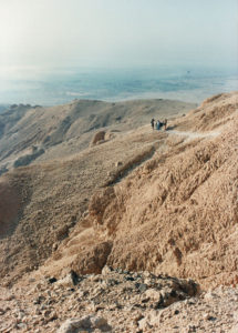 Heading to the Valley of the Kings by donkey