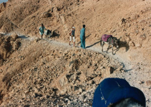 Heading to the Valley of the Kings by donkey