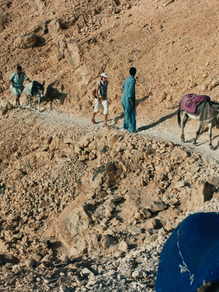 Heading to the Valley of the Kings by donkey