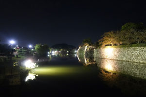 Himeji castle moat by night