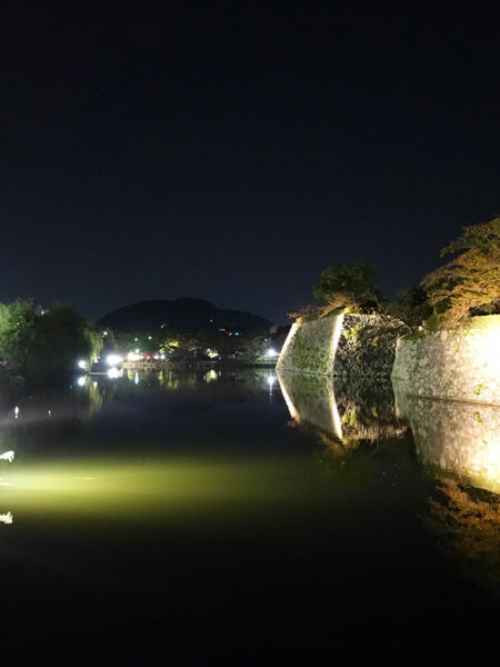 Himeji castle moat by night
