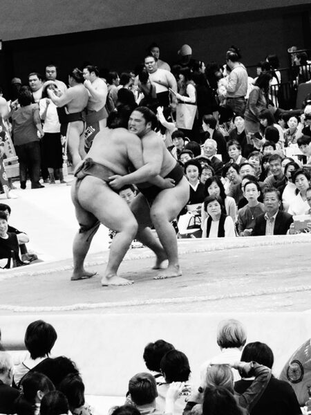 Sumo