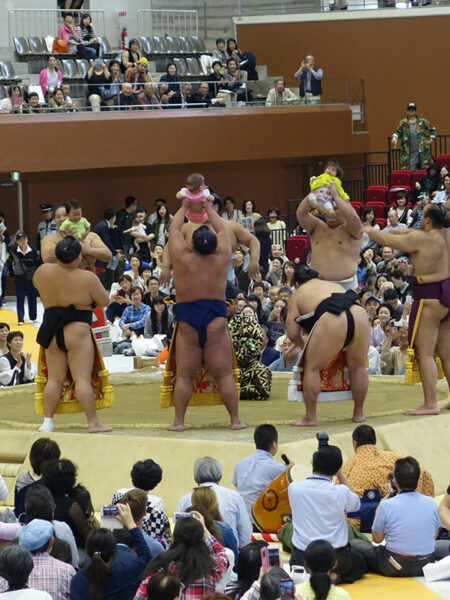 Sumo